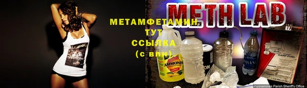 дживик Бородино