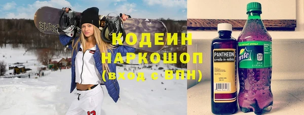 дживик Бородино
