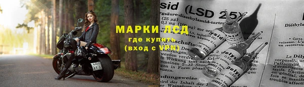 мяу мяу мука Верея